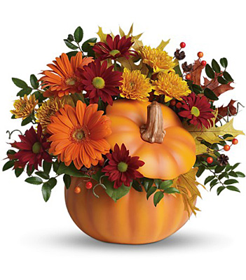 Country Pumpkin from Bakanas Florist & Gifts, flower shop in Marlton, NJ